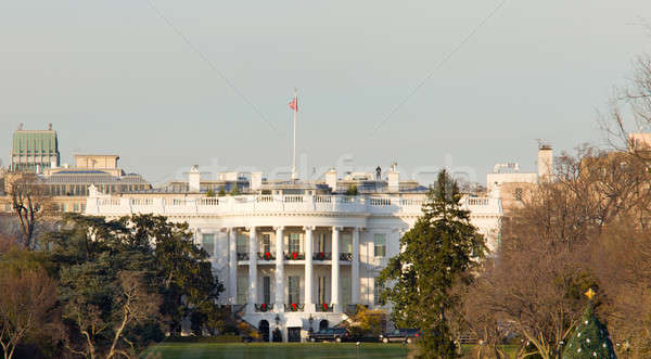 White House at Christmas Stock photo © backyardproductions