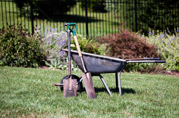 Wheelbarrow and spades Stock photo © backyardproductions