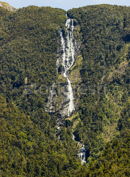 Waterfall in Doubtful Sound in New Zealand Stock photo © backyardproductions