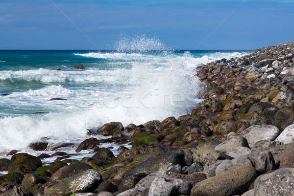 Rows of waves coming to shore Stock photo © backyardproductions