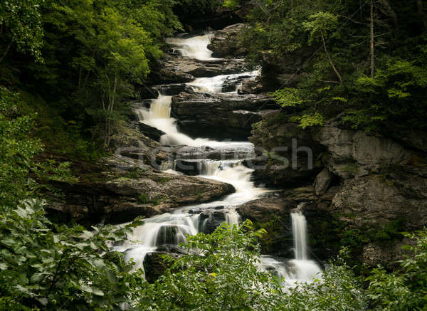 Cullasaja Falls Waterfall on Mountain Water Scenic Byway near Hi Stock photo © backyardproductions