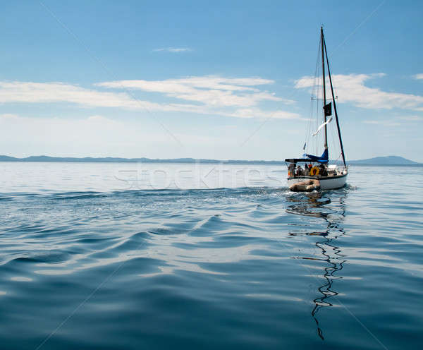 White yacht sailing on calm sea Stock photo © backyardproductions