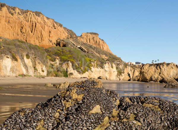 Spiaggia California formazione rocciosa Ocean acqua natura Foto d'archivio © backyardproductions