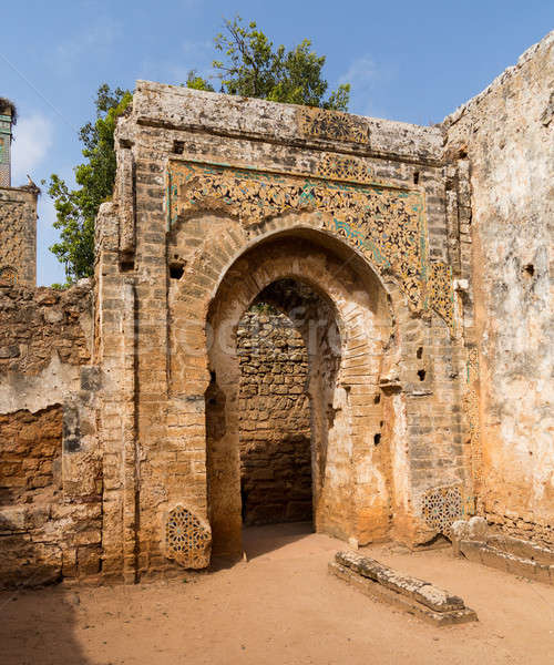 Roman Ruinen Marokko alten gut Landschaft Stock foto © backyardproductions