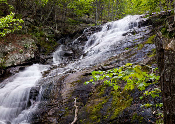 Insgesamt laufen Wasserfall Virginia Stock foto © backyardproductions