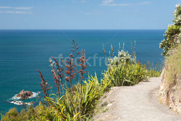 Wandelen pad rond steil New Zealand landschap Stockfoto © backyardproductions