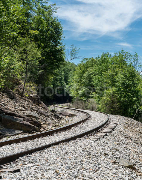 Old railway track at High Falls of Cheat Stock photo © backyardproductions
