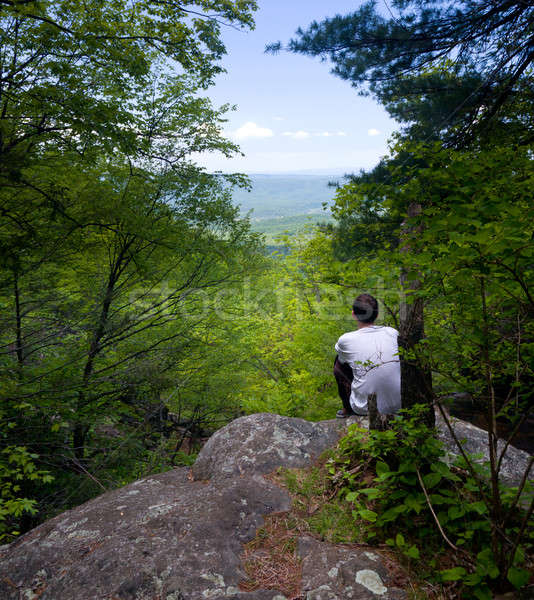 Hiker overlooks Shenandoah Valley Stock photo © backyardproductions