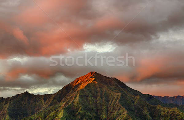 Panorama of Hanalei on island of Kauai Stock photo © backyardproductions