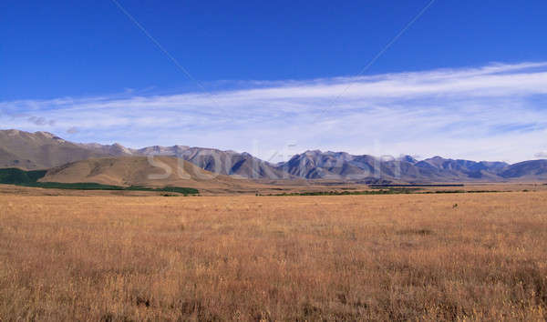 Maize fields frame New Zealand mountains Stock photo © backyardproductions
