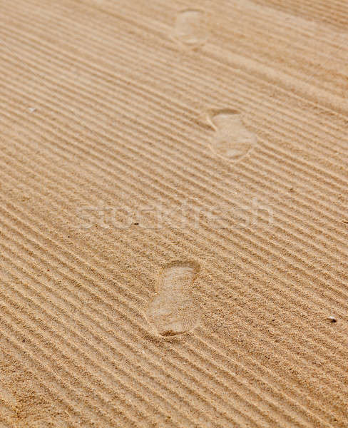 Footsteps in rippled sand Stock photo © backyardproductions
