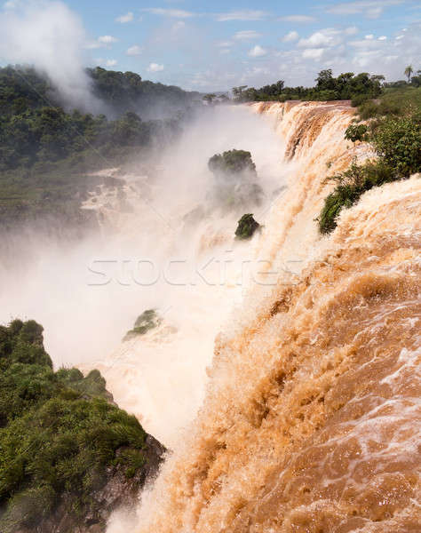 River leading to Iguassu Falls Stock photo © backyardproductions