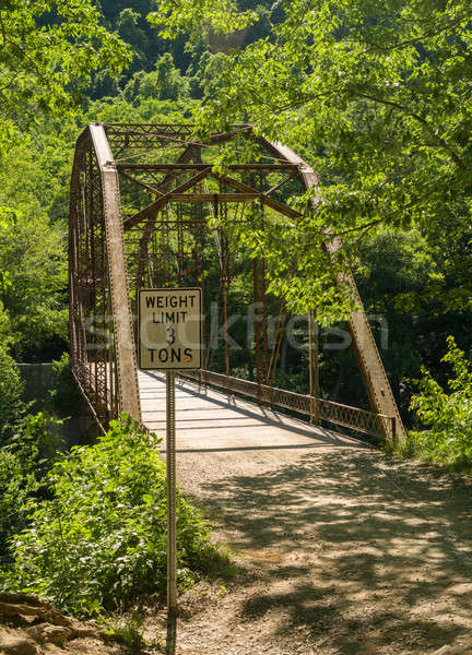 View of Jenkinsburg Bridge over Cheat River Stock photo © backyardproductions