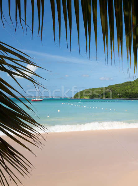 Glorious beach at Anse Marcel on St Martin Stock photo © backyardproductions