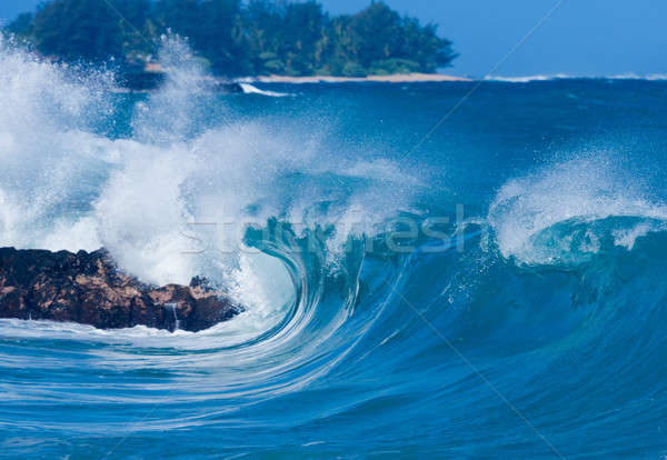 Foto stock: Poderoso · ondas · quebrar · praia · dramático · acidente