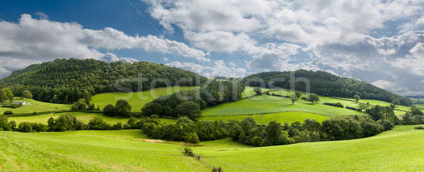 Panorama platteland noorden wales groene veld Stockfoto © backyardproductions