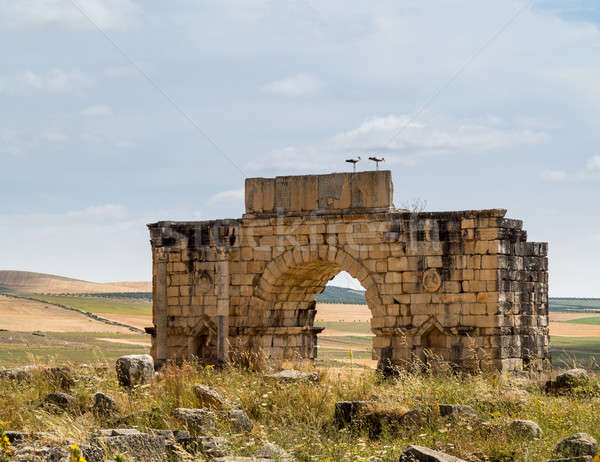 Ruins at Volubilis Morocco Stock photo © backyardproductions