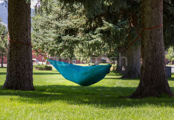 Large person reading book in hammock in park Stock photo © backyardproductions