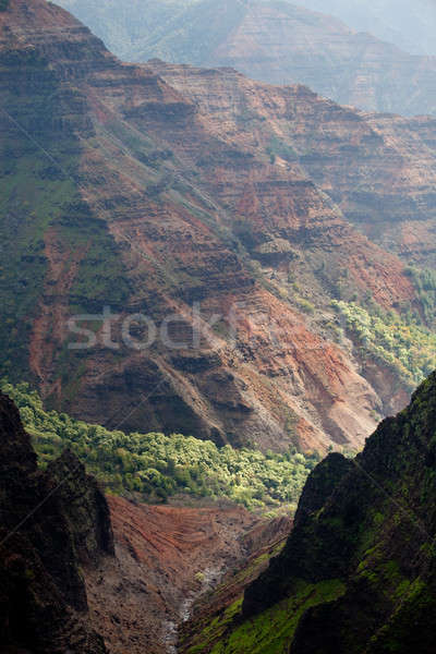 Stock photo: Backlit view down Waimea Canyon