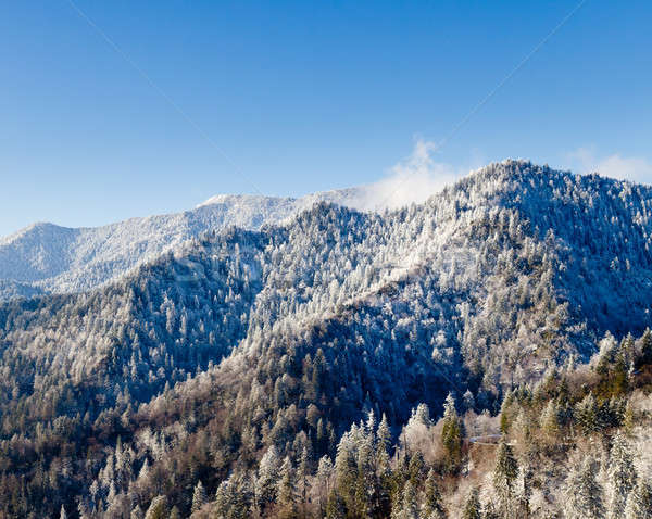 Mount leconte in snow in smokies Stock photo © backyardproductions