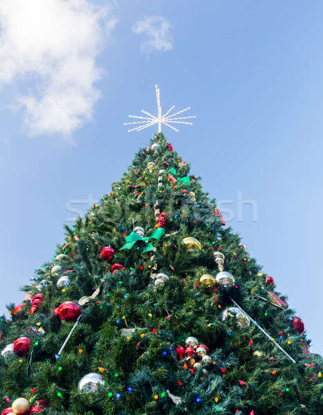 Large decorated external christmas tree Stock photo © backyardproductions