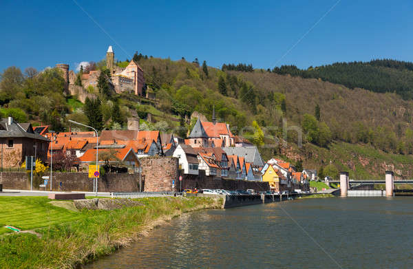 Town of Hirschhorn Hesse Germany Stock photo © backyardproductions