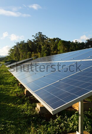 Large solar power installation in tropics Stock photo © backyardproductions