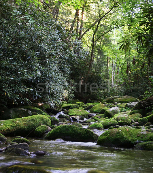 Rural River with Mossy Rocks Stock photo © backyardproductions