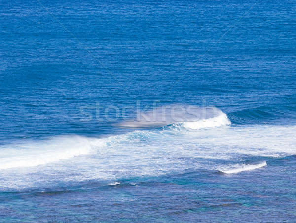 Szívárványszínű spray hullámok part égbolt óceán Stock fotó © backyardproductions