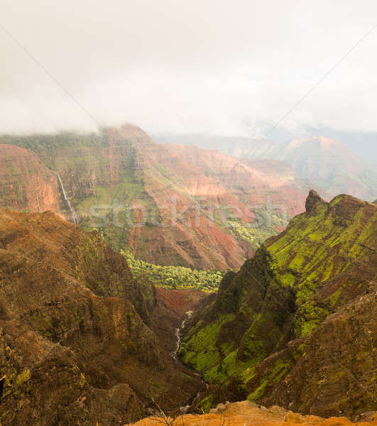 Waimea Canyon Kauai island Hawaii Stock photo © backyardproductions