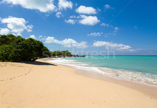 Happy Bay off coast of St Martin Caribbean Stock photo © backyardproductions