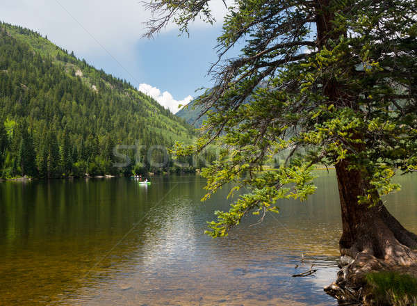 Cottonwood lake near Buena Vista Colorado Stock photo © backyardproductions