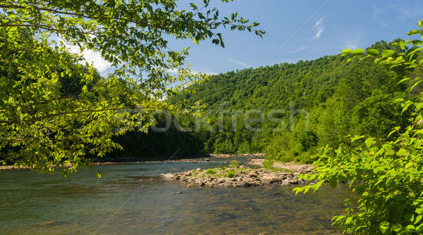 View of Cheat River from Jenkinsburg Bridge Stock photo © backyardproductions