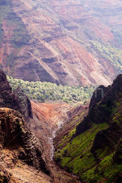 Backlit view down Waimea Canyon Stock photo © backyardproductions