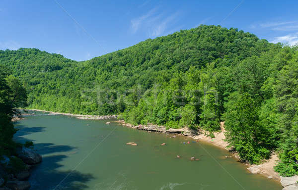 View of Cheat River from Jenkinsburg Bridge Stock photo © backyardproductions