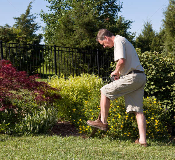 Supérieurs homme jardin bébé séance herbe [[stock_photo]] © backyardproductions