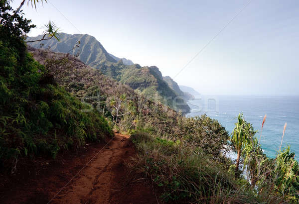 Kalalau trail on north coast of Kauai Stock photo © backyardproductions