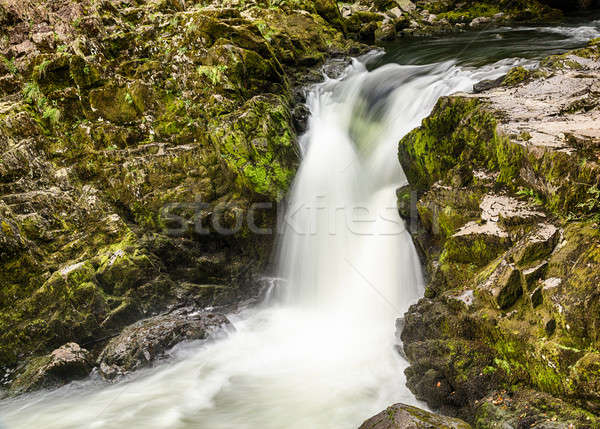Сток-фото: водопада · Озерный · край · зеленый · мох · замедлять · движения