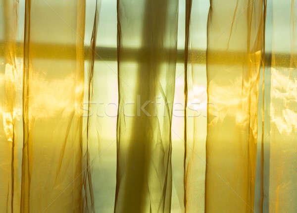 чистой шторы щит Sunshine за Сток-фото © backyardproductions