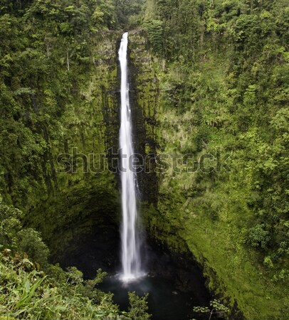 Manawaiopuna Falls in Kauai Stock photo © backyardproductions