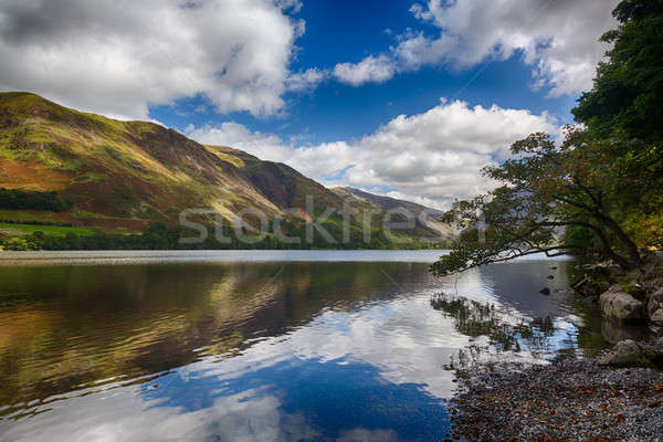 Reflections in Buttermere in Lake District Stock photo © backyardproductions