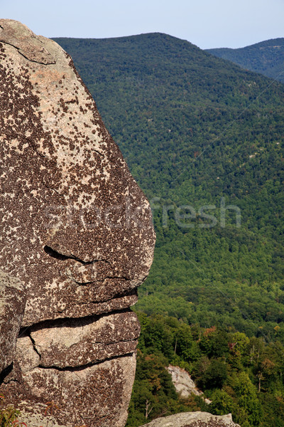 Shenandoah valley by rock outcrop Stock photo © backyardproductions