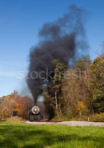 Steam train powers along railway Stock photo © backyardproductions