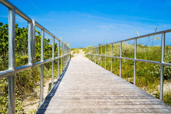 Stock photo: Boardwalk among sea oats to beach in Florida