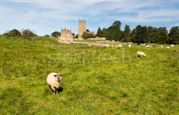 Church St James across meadow in Chipping Campden Stock photo © backyardproductions