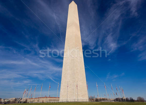 Wide angle view of Washington Monument Stock photo © backyardproductions