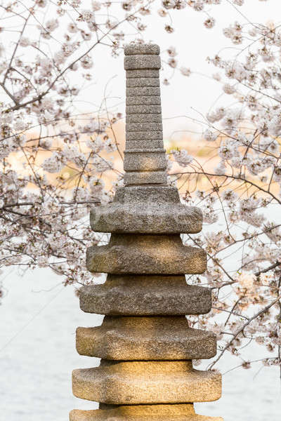 Cherry Blossom and Japanese Monument Stock photo © backyardproductions