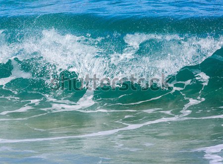 Krachtig golven pauze strand dramatisch crash Stockfoto © backyardproductions