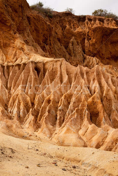 Broken Hill in Torrey Pines State Park Stock photo © backyardproductions