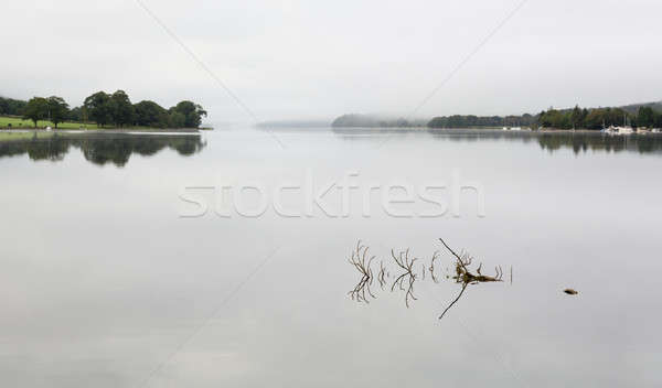 Reflection of branch in Coniston Water  Stock photo © backyardproductions